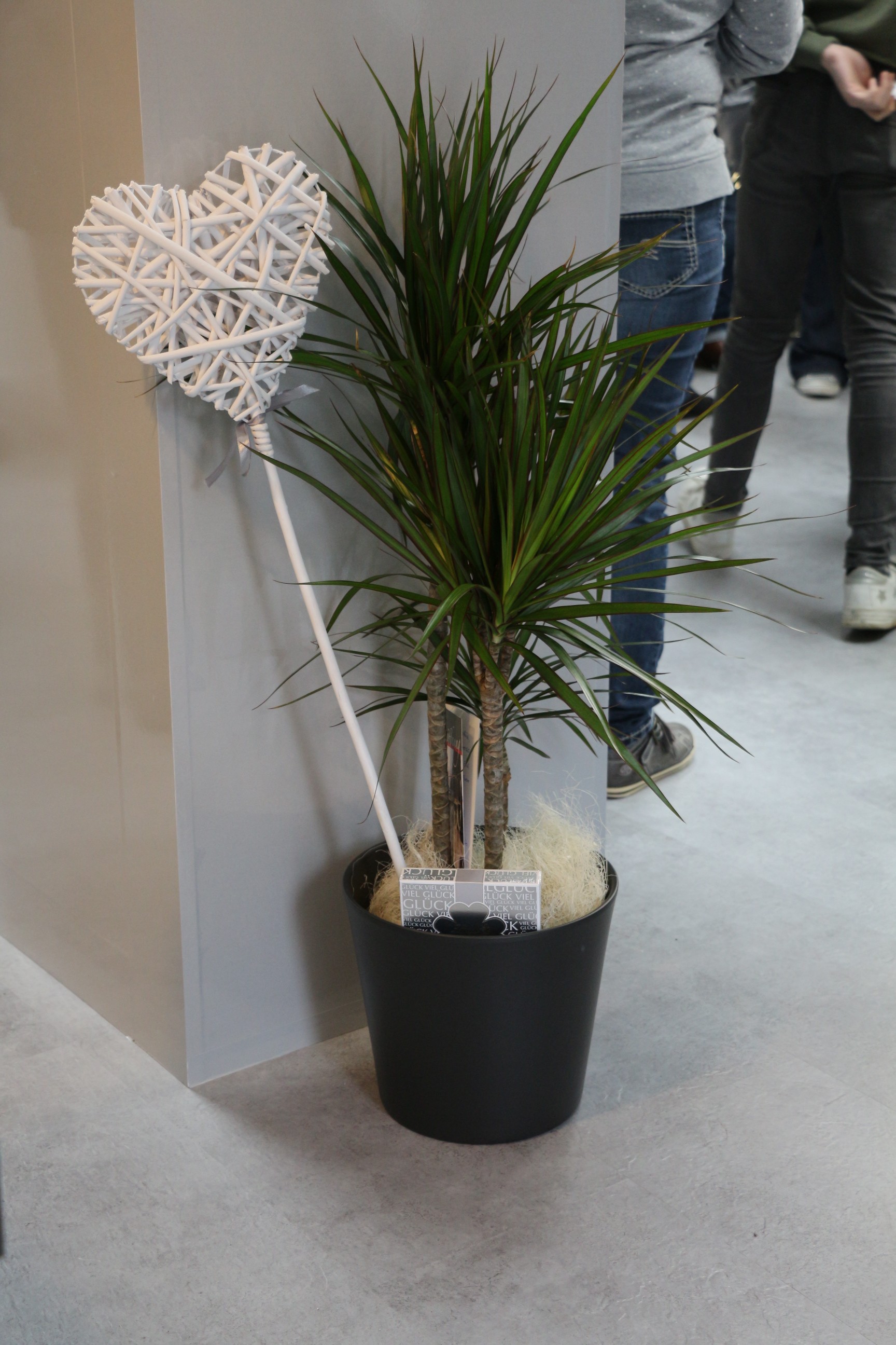 Er&ouml;ffnung 2018 Bild 1